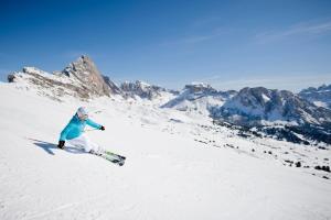 冬のApartments Dolomieの様子