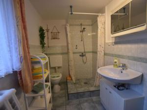 a bathroom with a sink and a shower and a toilet at Lovely Apartment near Sea in Klutz in Klütz