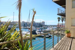 Un puerto deportivo con barcos en el agua y palmeras. en Quarterdeck 17, en St Francis Bay