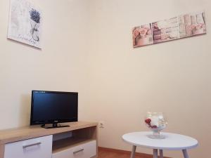 Una televisión o centro de entretenimiento en Apartment Viki