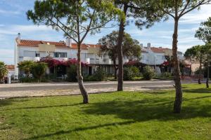 un gruppo di alberi nell'erba di fronte a un edificio di Moradia T3 Soltroia Mar a Tróia