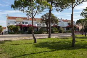 a group of trees in the grass in front of a building at Moradia T3 Soltroia Mar in Troia