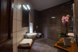 Ένα μπάνιο στο Domaine de Palats +24 φωτογραφίες