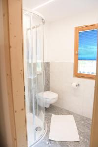 a bathroom with a toilet and a glass shower at Ferienhütte Premstlahof in Martello