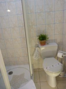 La salle de bains est pourvue de toilettes et d'une douche avec une plante. dans l'établissement La Table Des Bons Peres, à Bislée