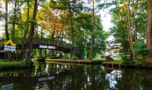 ノイルピーンにあるHotel & Restaurant Am Alten Rhinの公園内の川橋