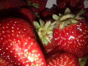 Imagine din galeria proprietății EHA - Eco Hotel Antuco Chile în Antuco