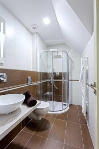a bathroom with a shower and a toilet and a sink at Šnekolend in Rokytnice nad Jizerou