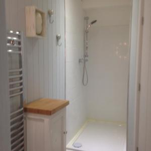 a small bathroom with a shower and a toilet at Squirrel in Southwold