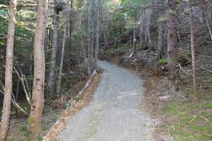 Gallery image of Chalets Nature Océan in Perce +144 photos