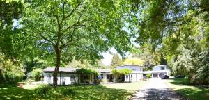 una casa con un albero di fronte di TePopo Gardens & Accommodation a Stratford