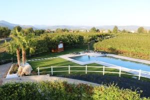 an overhead view of a pool in a vineyard at Agriturismo La Torretta in Pescantina