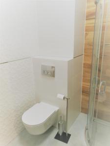 a bathroom with a toilet and a shower at Apartamenty Jesionowa in Wrocław