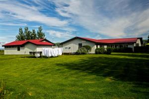 Gallery image of South Central Guesthouse in Selfoss