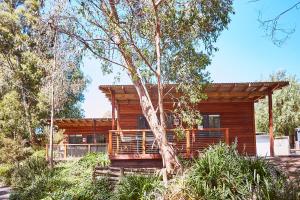 een blokhut met een boom ervoor bij Lorne Foreshore Caravan Park in Lorne