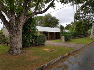 a house with a tree on the side of a street at Beerwah House in Beerwah