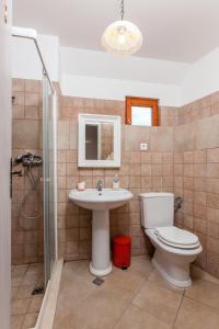 a bathroom with a toilet and a sink and a shower at Countryside Family Villa with Private Pool in Donje Selo na Šolti