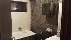 Koupelna v ubytování Treasure Mountain Predeal + 24 fotografií