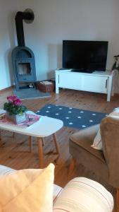 a living room with a fireplace and a tv at Villa Fröhlich in Straupitz