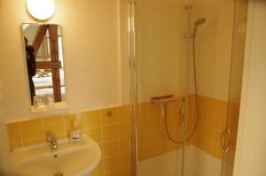 ein Bad mit einem Waschbecken und einer Dusche mit einem Spiegel in der Unterkunft Stützpunkt Trebitz - Gästezimmer am Europaradweg R1 in Brück