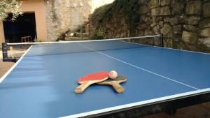Stolný tenis v ubytovaní Cal Riba alebo v jeho okolí