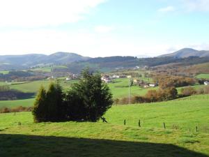 a field of green grass with a tree in the middle at Albergue Restaurante Casa Herminia in El Campiello