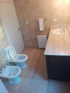 een badkamer met een toilet en een wastafel bij Hosteria Ruphay in Tandil