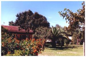 een huis met een rood dak en enkele bomen en bloemen bij Domaine de l'Avidanella in Santa-Lucia-di-Moriani