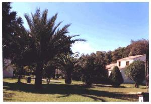Κήπος έξω από το Domaine de l'Avidanella +18 φωτογραφίες