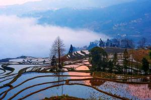 旅舍周边自然景观