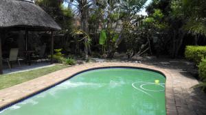 een zwembad met een golfbal erin bij Versailles B and B in Gonubie