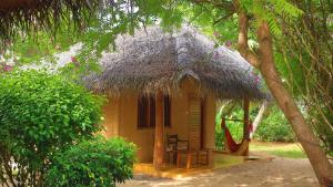 Zahrada ubytování Mangrove Beach Cabana