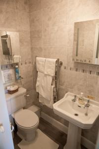 a bathroom with a toilet and a sink at Weir Mill Farm in Cullompton