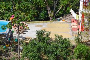 Zahrada ubytování Finca San Rafael - Cafe y Cacao