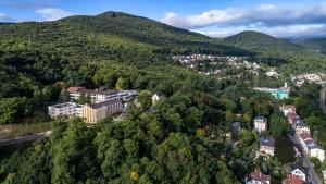 Příroda nedaleko hotelu