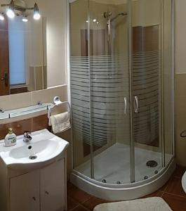 a bathroom with a shower and a sink at Pod Jarzębiną in Toruń