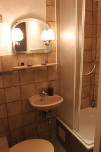 ein kleines Bad mit einem Waschbecken und einer Dusche in der Unterkunft Berl Inn in Berlin