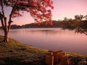 a tree sitting next to a large body of water at Pousada Do Bosque in Itajuípe