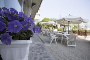 Fotografie z fotogalerie ubytování Hotel Bisanzio v destinaci Cesenatico