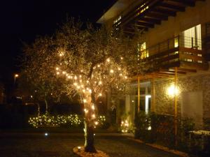 A garden outside Residence Rivachiara (check-in at Hotel Riviera in Viale Rovereto, 95)