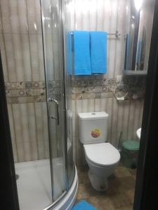 エッセントゥキにあるАпартаментыのバスルーム(トイレ、シャワー、青いタオル付)