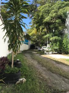 Zahrada ubytování Hotel Estrella del Mar