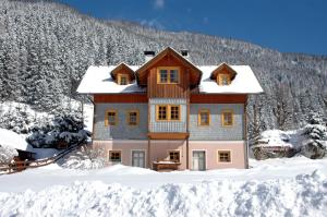 una casa en la nieve con una montaña en el fondo en Ferienwohnung Althoelbling, en Patergassen