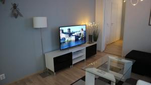 Pro Apartments 5 في فاسا: غرفة معيشة مع تلفزيون بشاشة مسطحة على منصة