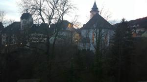 um grupo de edifícios com árvores à sua frente em Waldshut-Zentrum em Waldshut-Tiengen