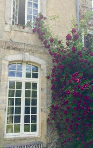 ein Fenster mit einem Blumenstrauß auf der Seite eines Gebäudes in der Unterkunft L'Orangerie du Grand Jardin in Condé-sur-Seulles