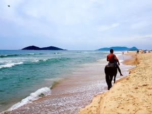 un hombre montando un caballo en la playa en Loft-Atelier 100m praia, en Florianópolis