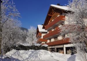 appartementen Haus Bergblick during the winter