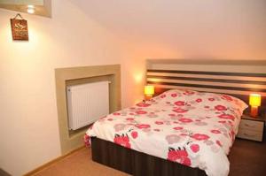 a bedroom with a bed with red flowers on it at Casa Onyx in Târgu Jiu