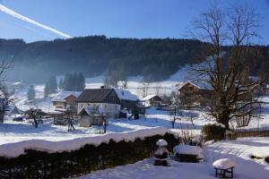 appartementen Haus Bergblick during the winter